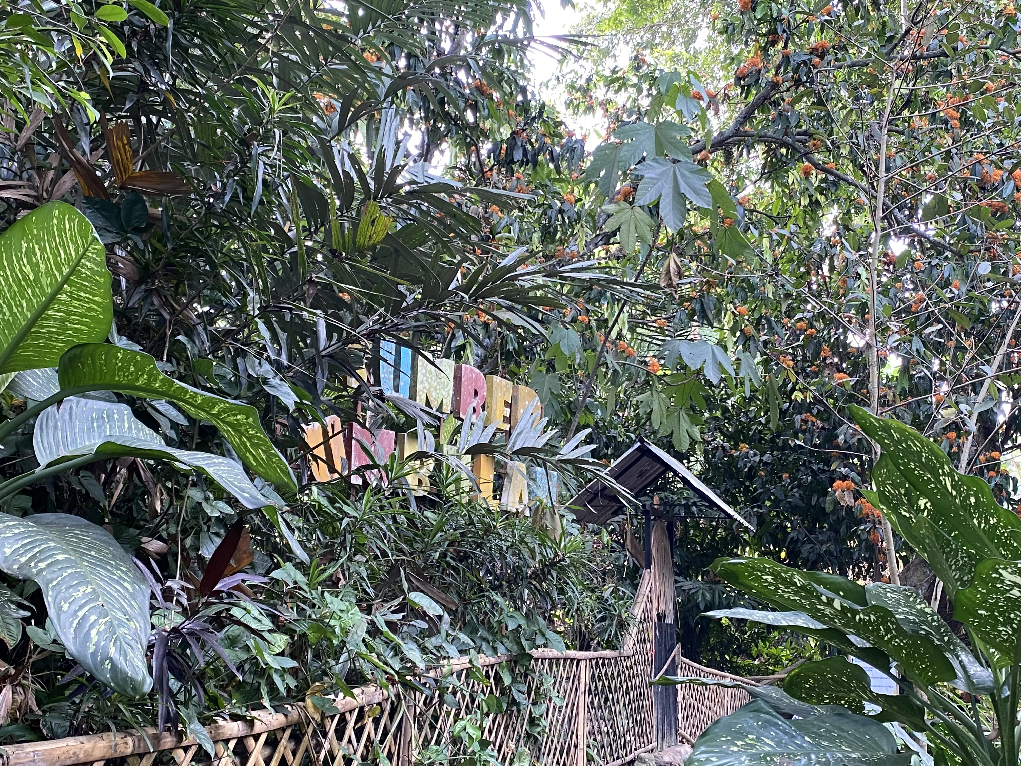 Sumber Umbulan Singosari (Hidden Gem)